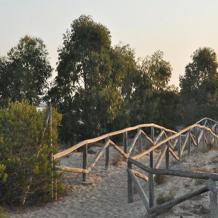 Residencial El Pinet Beach La Marina Ngoại thất bức ảnh